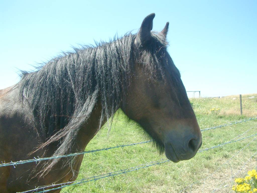 Click now to see this image full size.