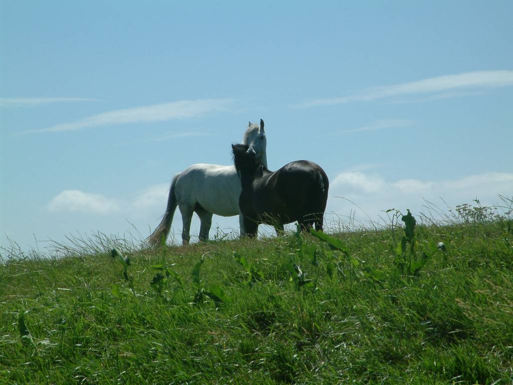 Click now to see this image full size.