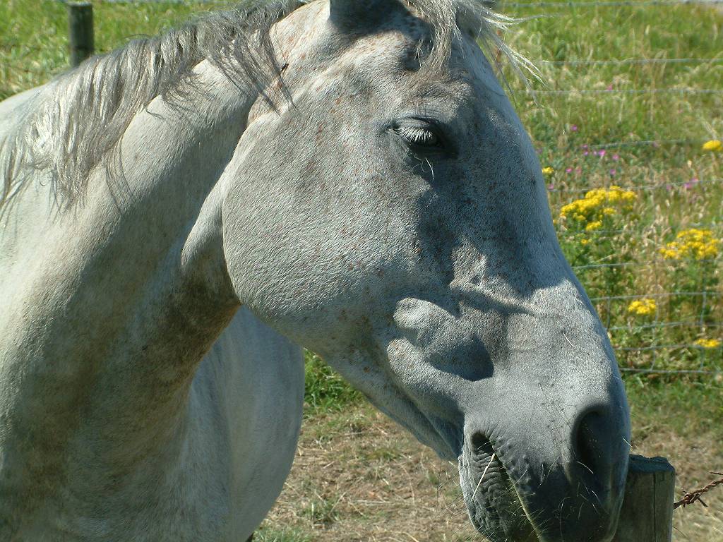 Click now to see this image full size.