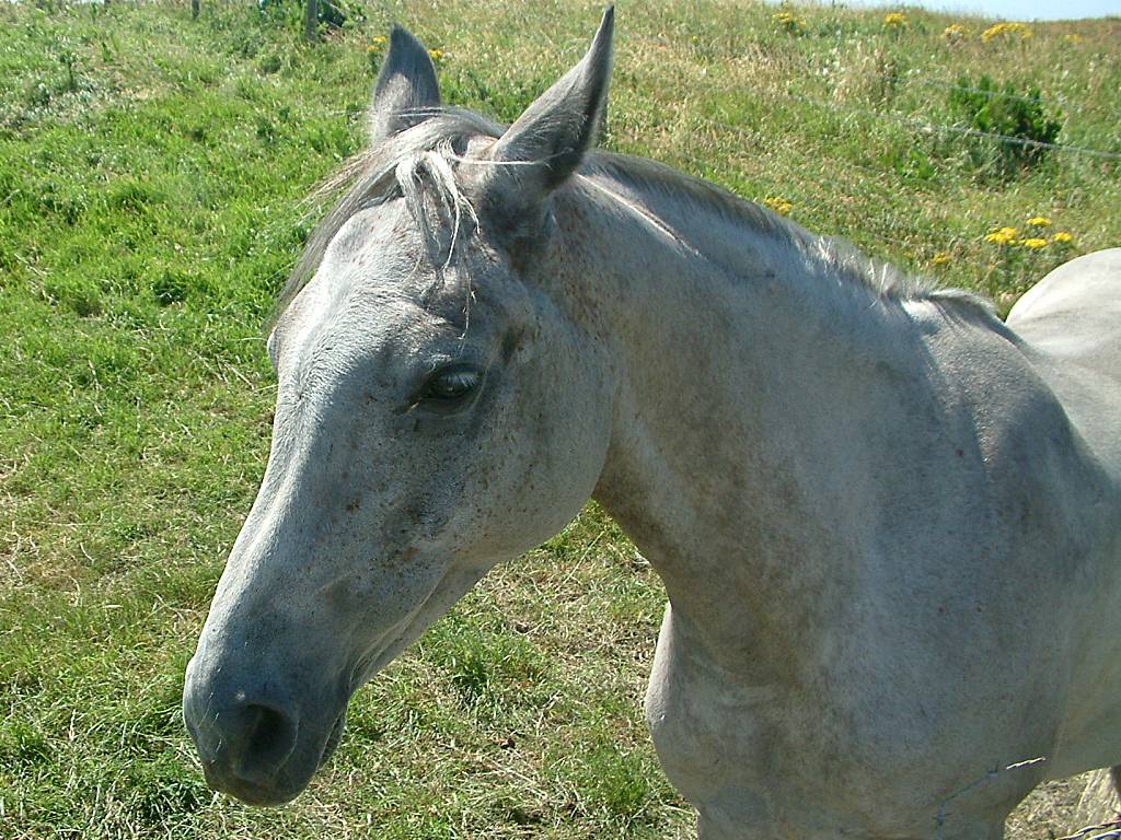 Click now to see this image full size.