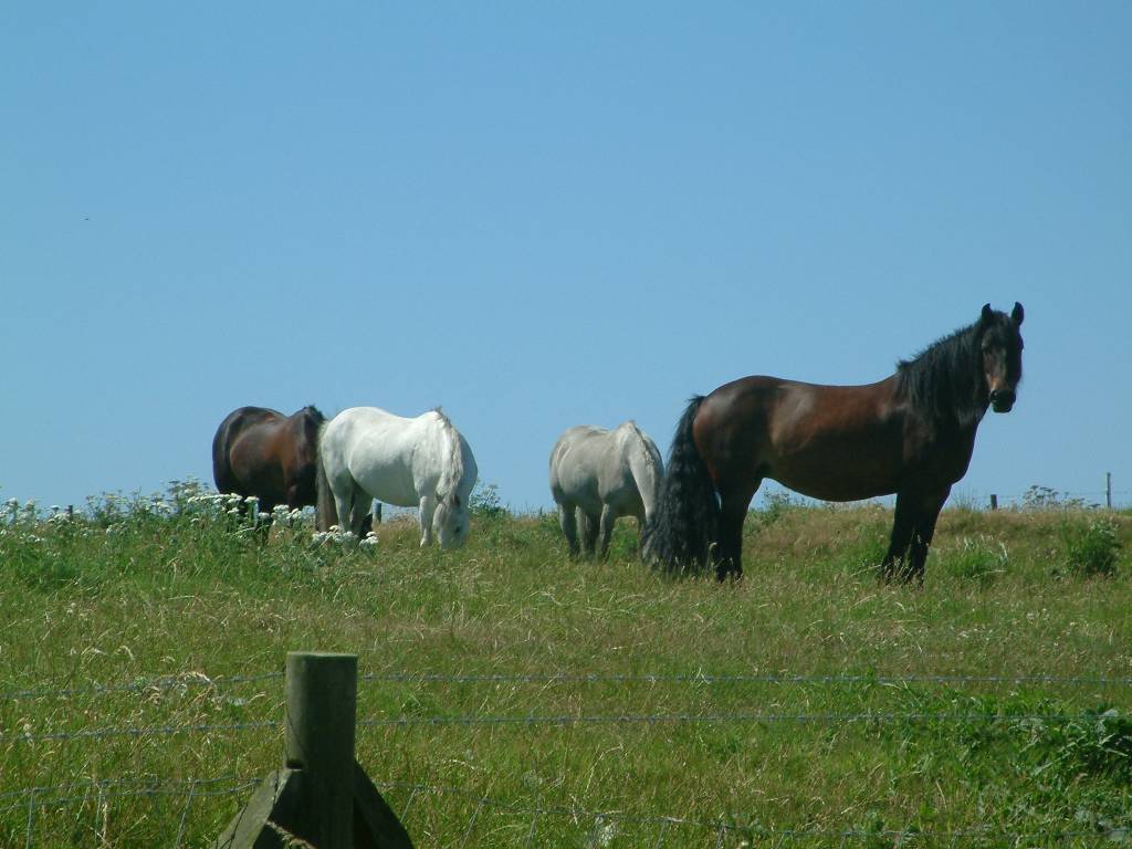 Click now to see this image full size.