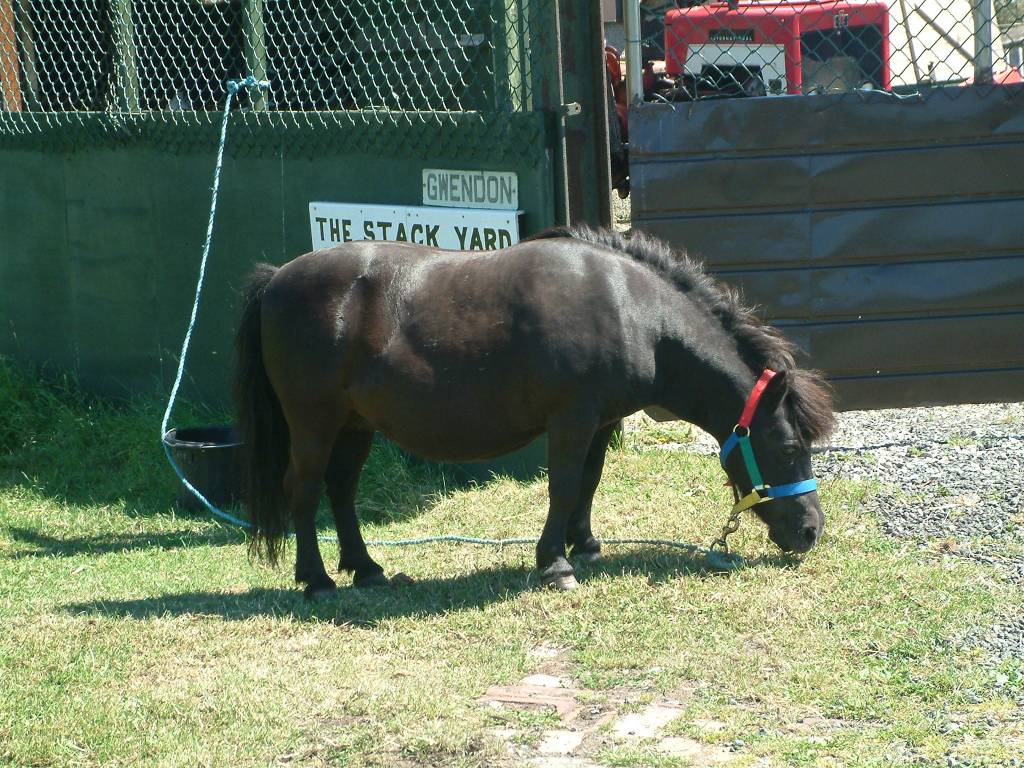 Click now to see this image full size.