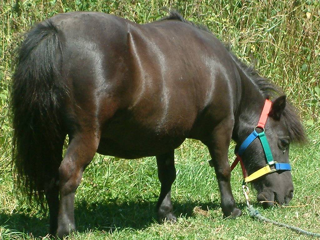 Click now to see this image full size.