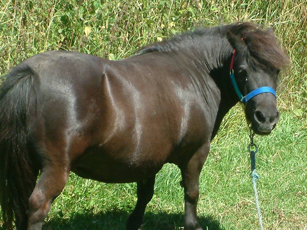 Click now to see this image full size.