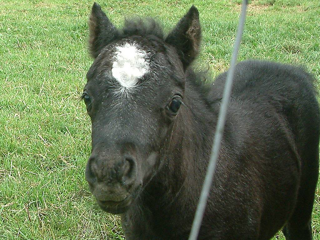 Click now to see this image full size.