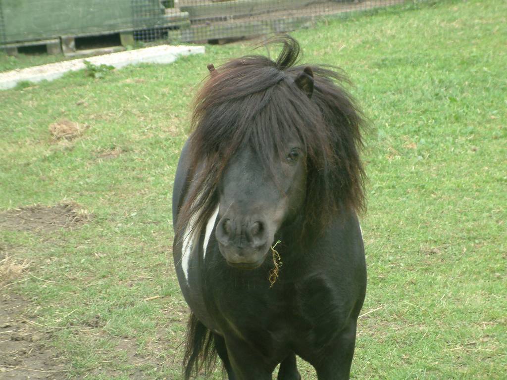 Click now to see this image full size.