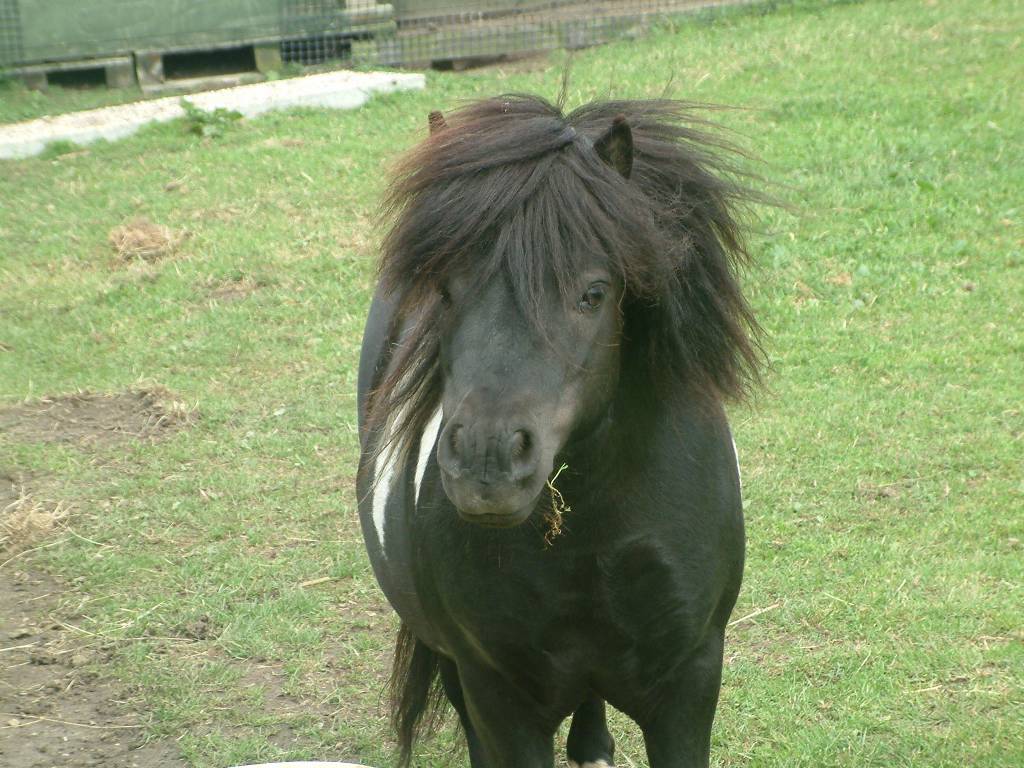 Click now to see this image full size.