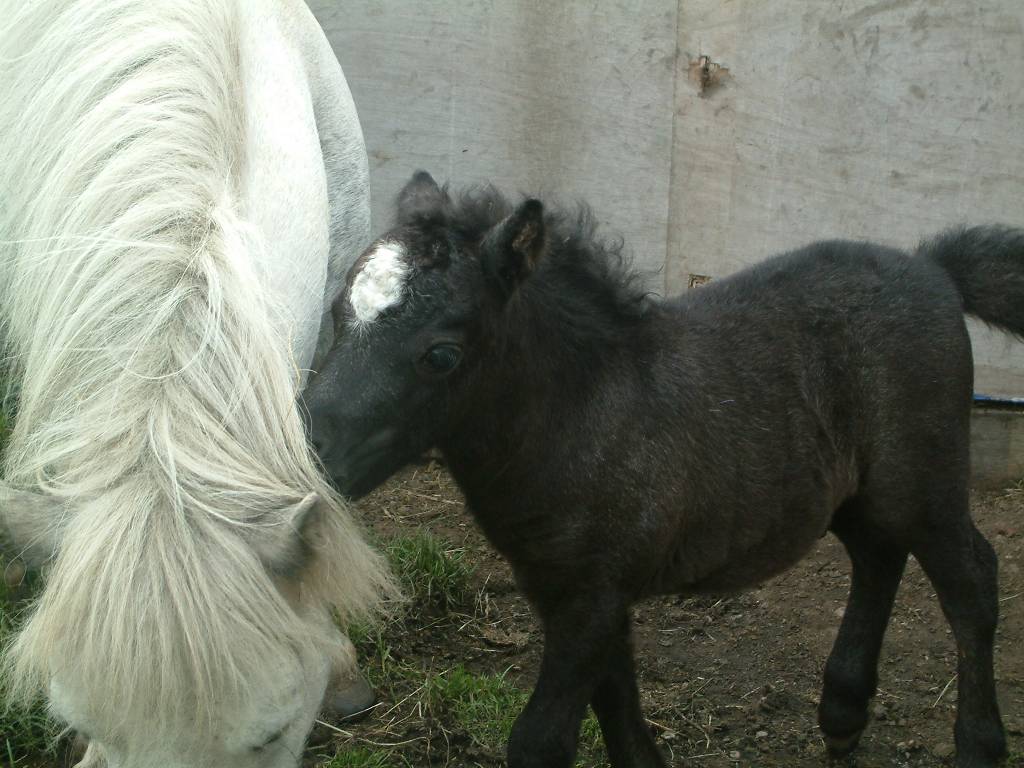 Click now to see this image full size.