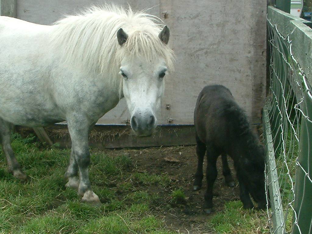 Click now to see this image full size.