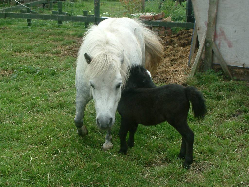 Click now to see this image full size.