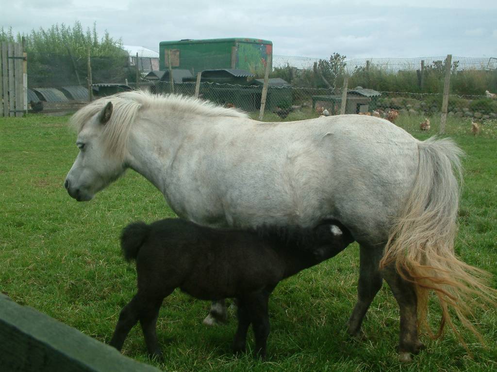 Click now to see this image full size.