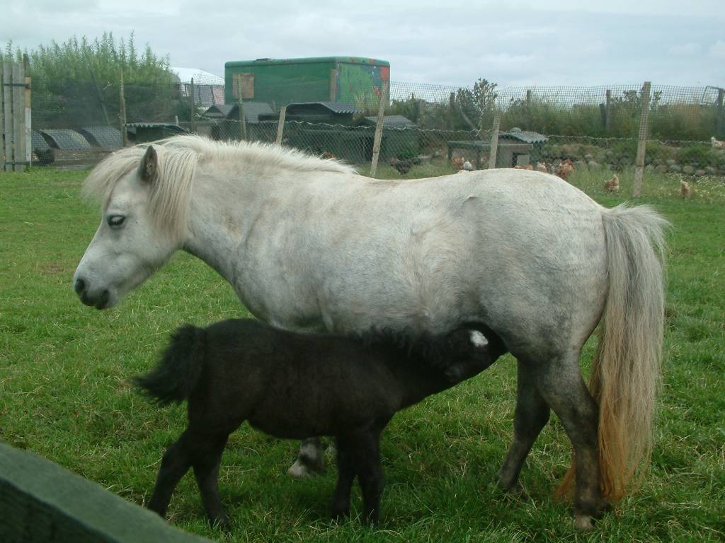 Click now to see this image full size.