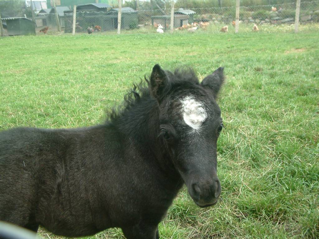 Click now to see this image full size.