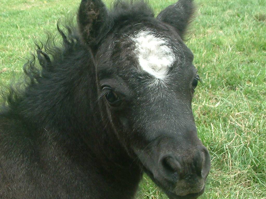 Click now to see this image full size.