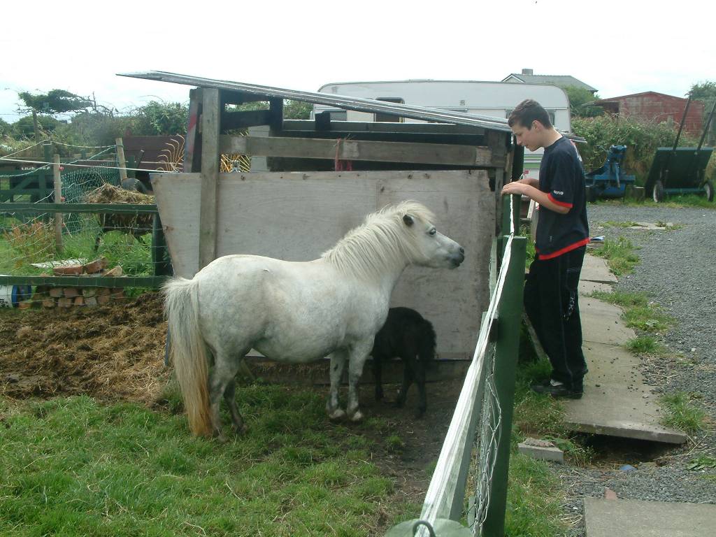 Click now to see this image full size.