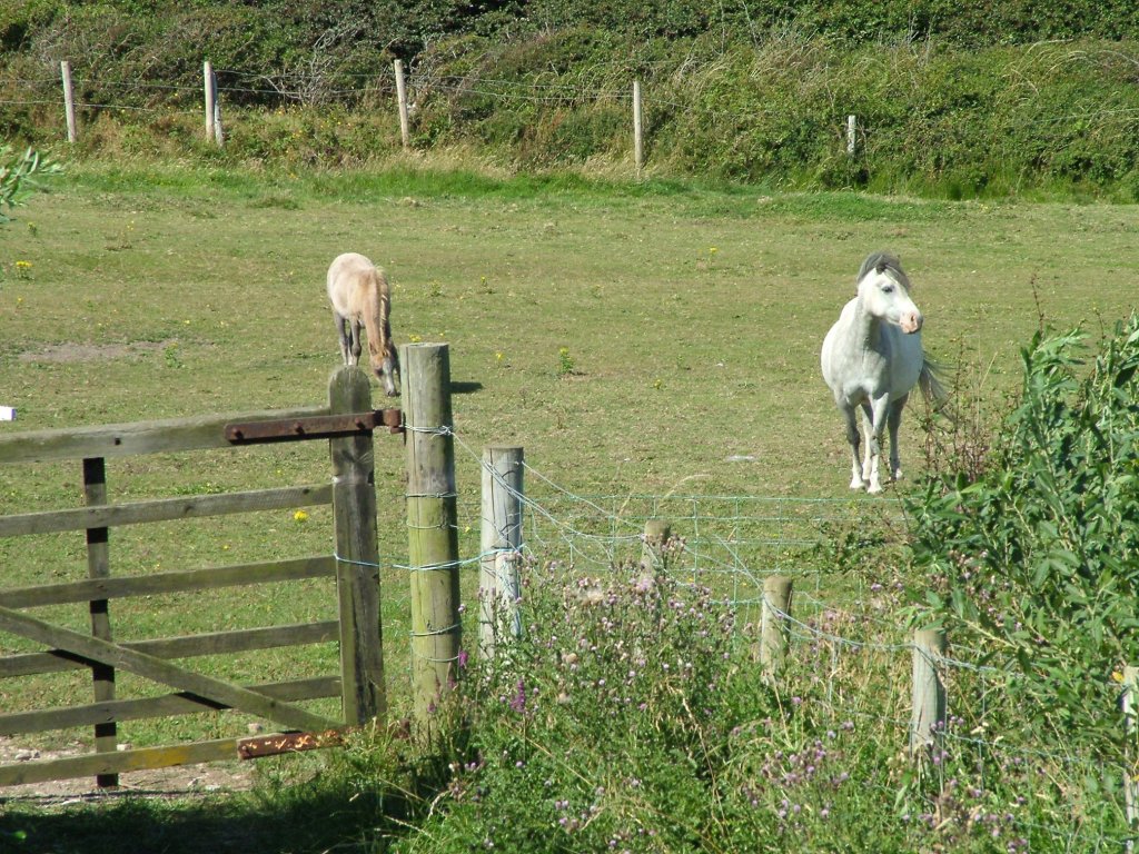 Click now to see this image full size.