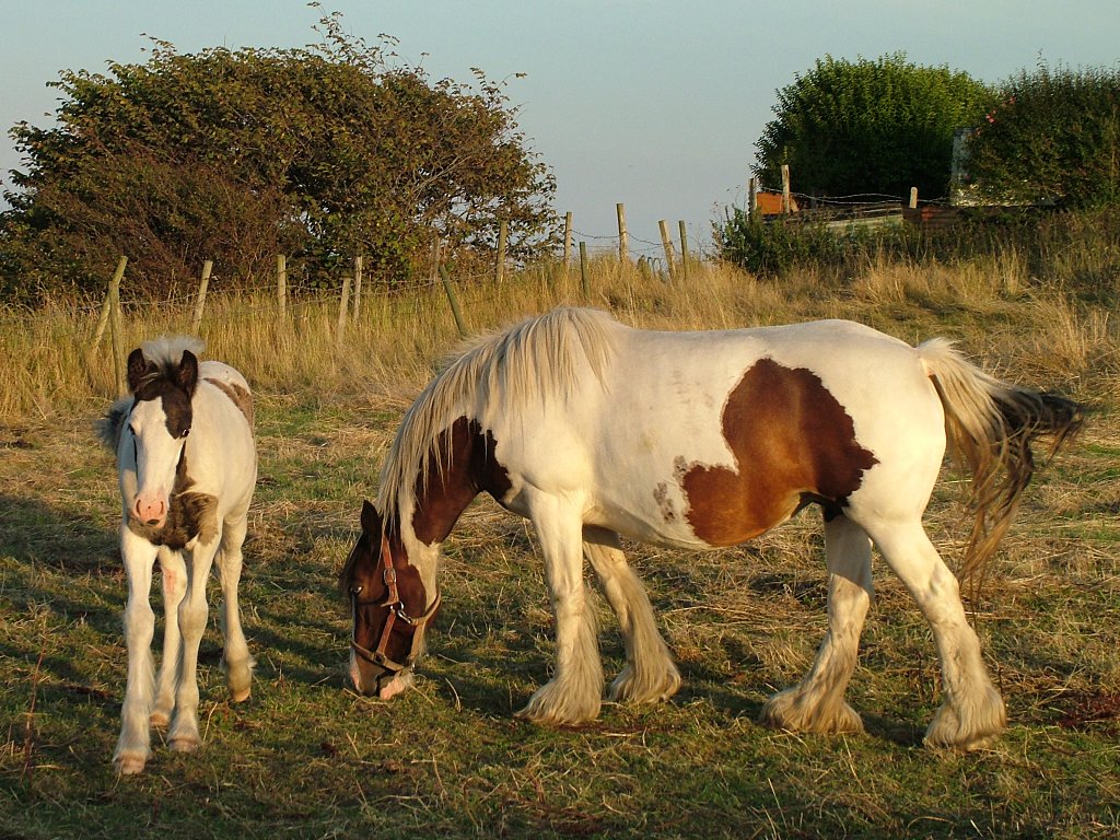 Click now to see this image full size.