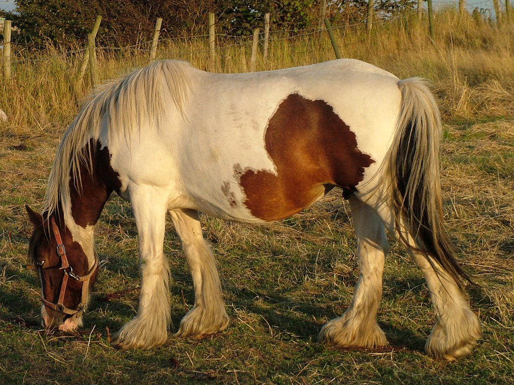 Click now to see this image full size.