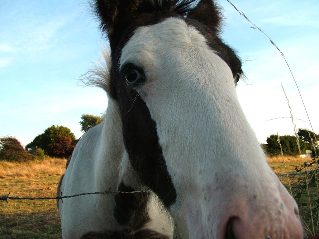 Click now to see this image full size.