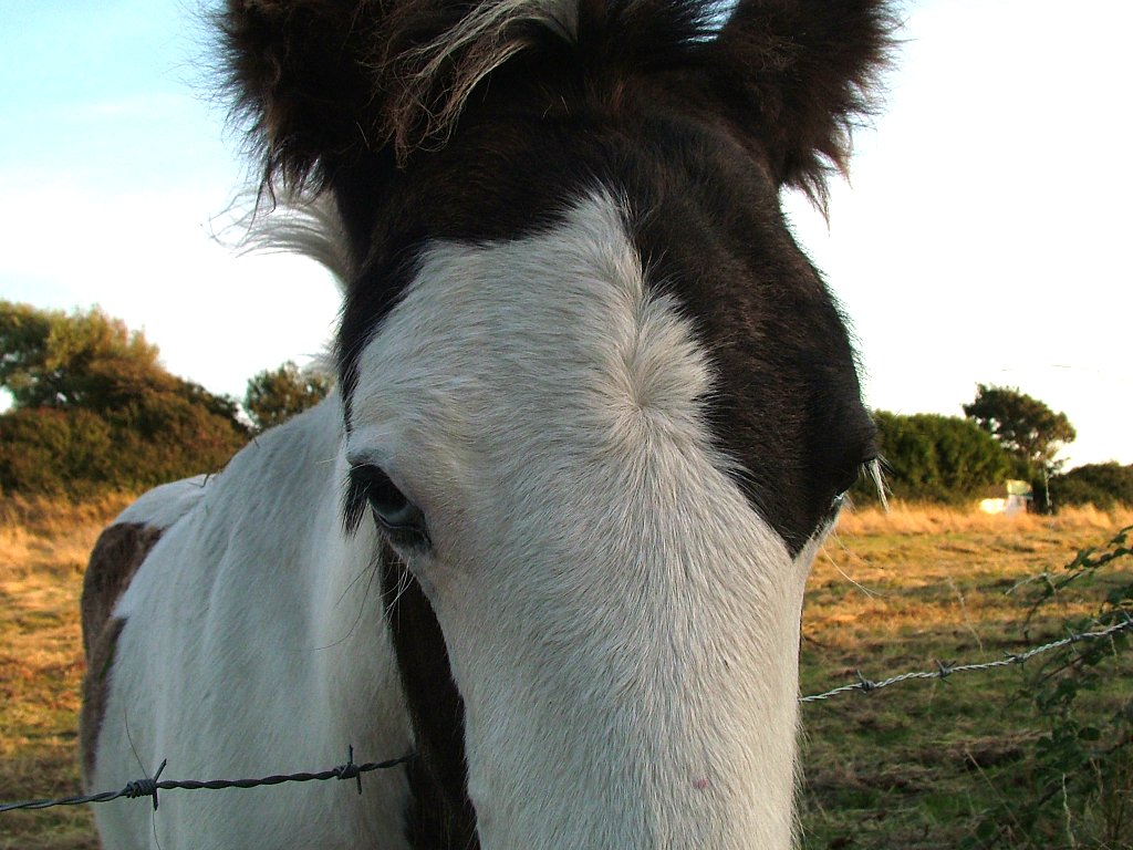 Click now to see this image full size.