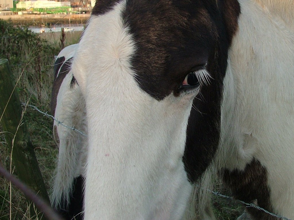 Click now to see this image full size.