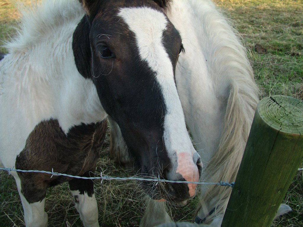 Click now to see this image full size.