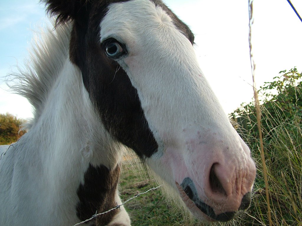 Click now to see this image full size.