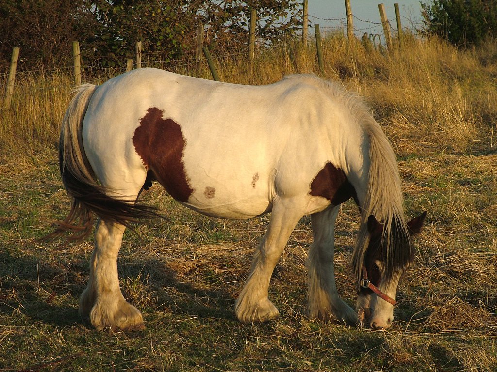 Click now to see this image full size.