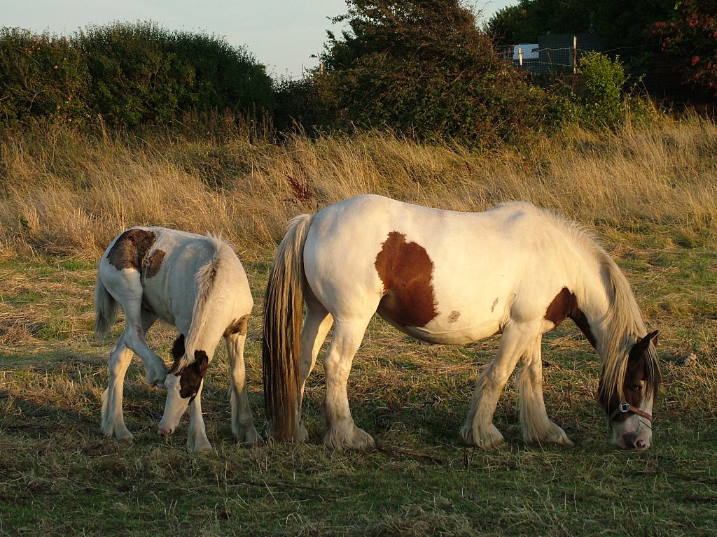 Click now to see this image full size.