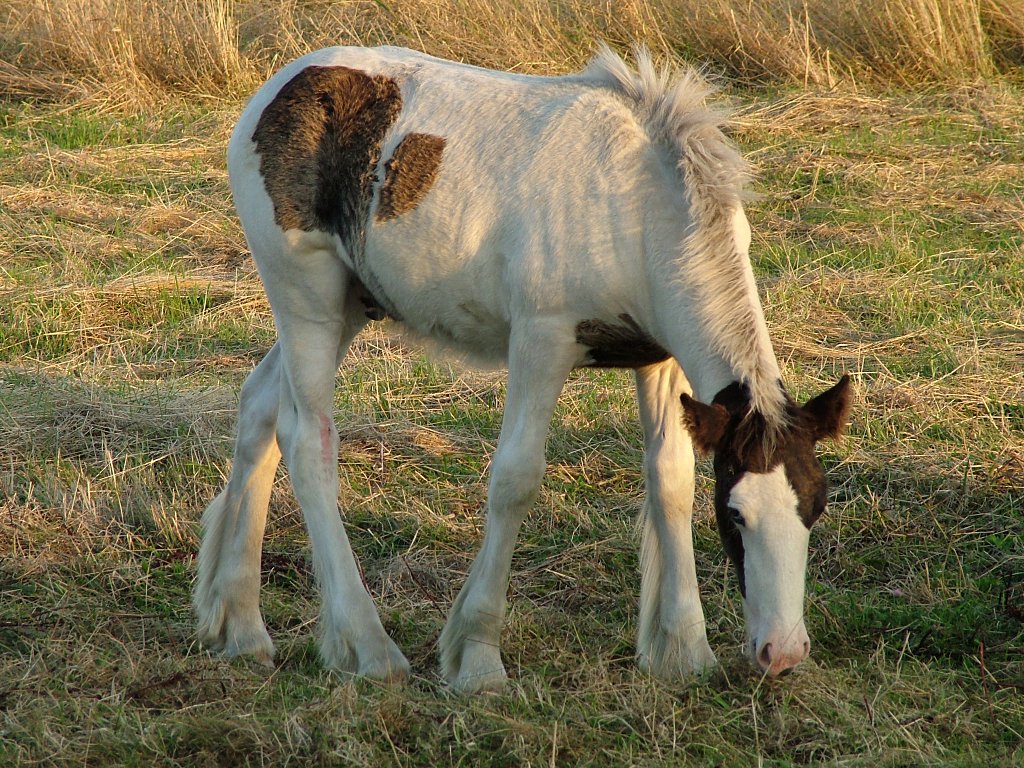 Click now to see this image full size.