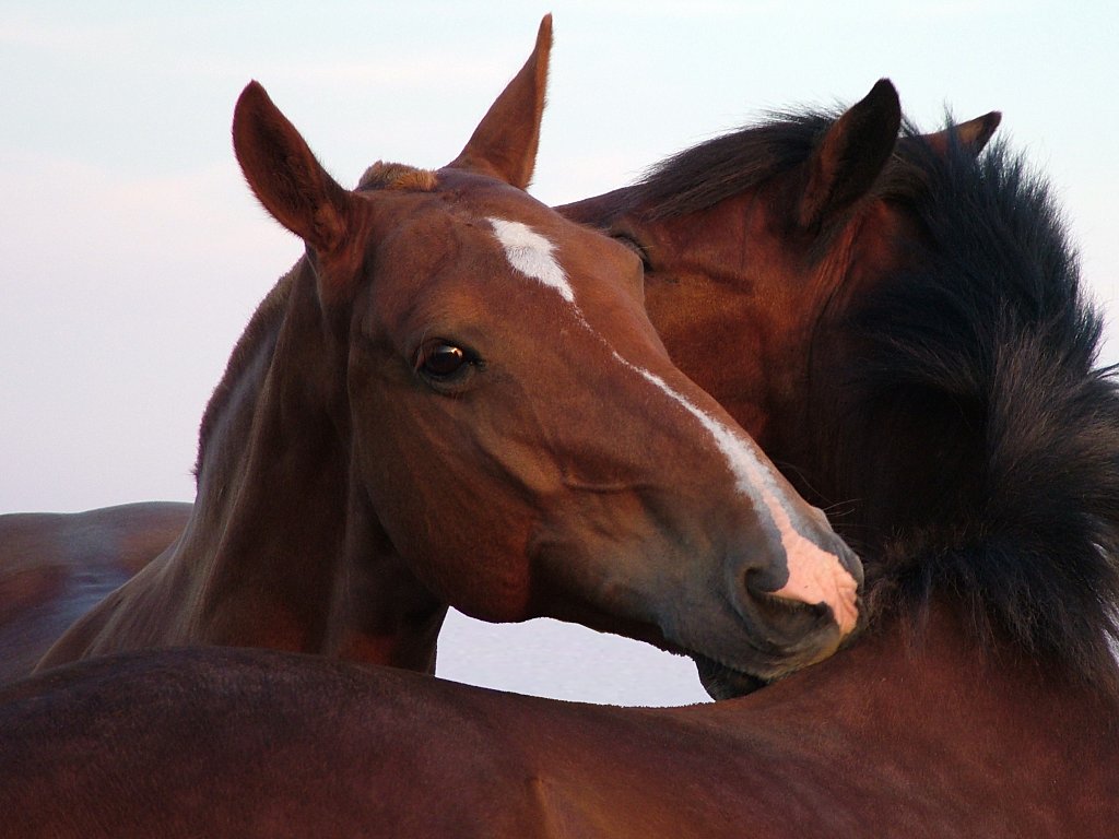 Click now to see this image full size.