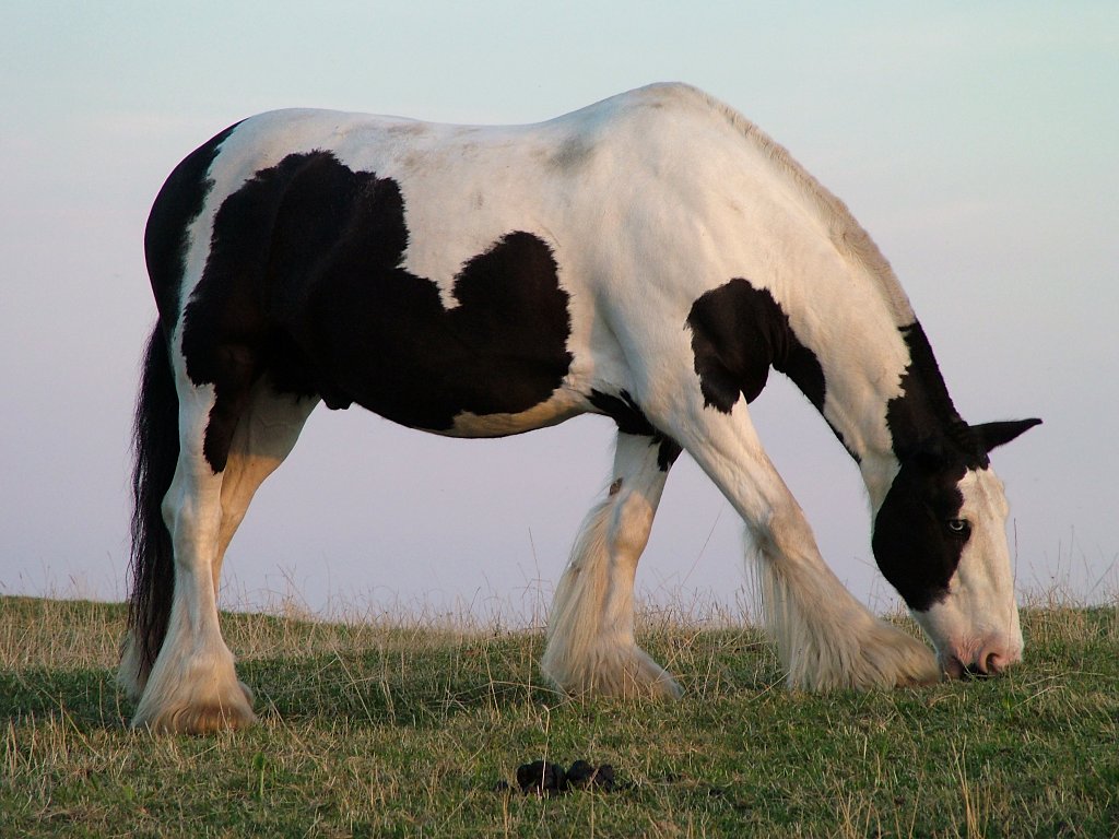 Click now to see this image full size.