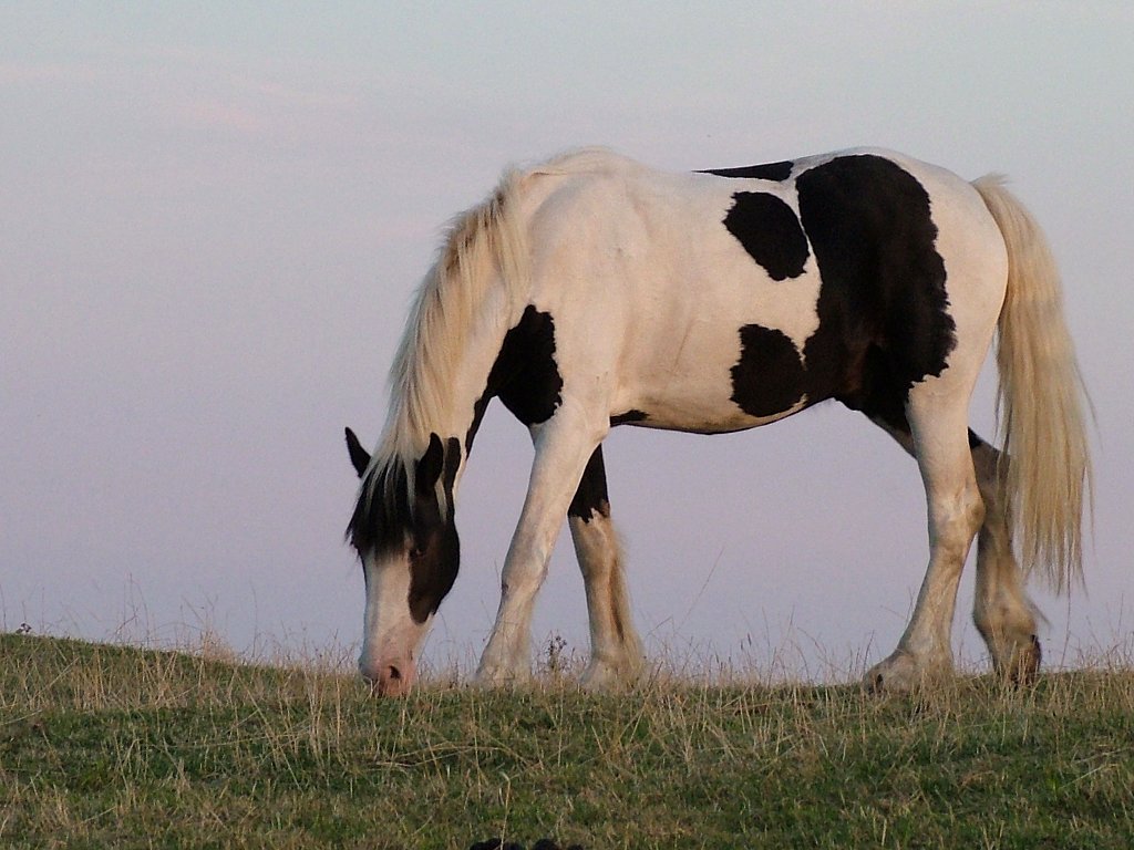 Click now to see this image full size.