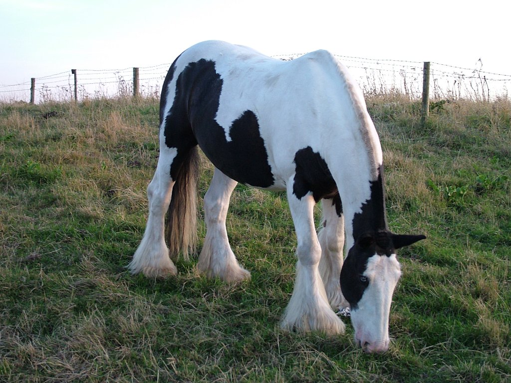 Click now to see this image full size.