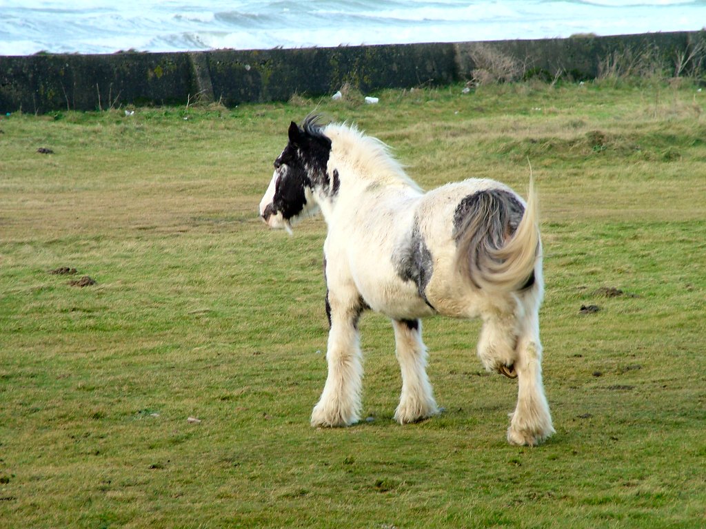 Click now to see this image full size.