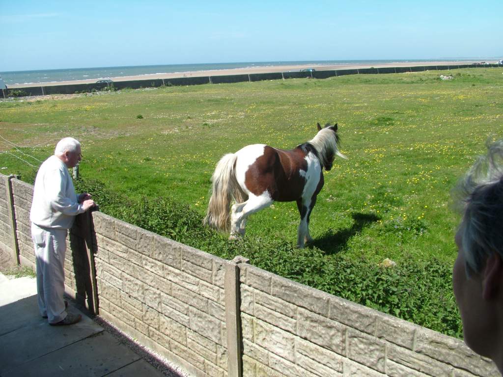 Click now to see this image full size.