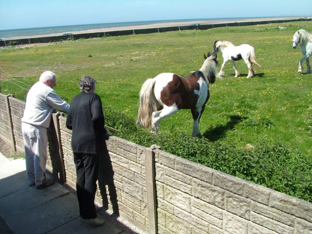 Click now to see this image full size.