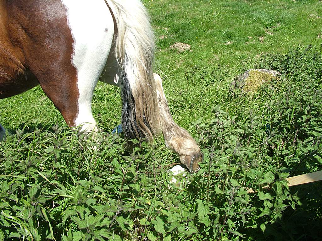 Click now to see this image full size.