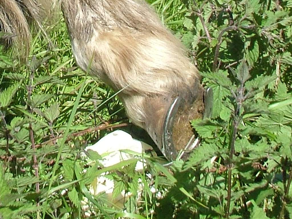 Click now to see this image full size.