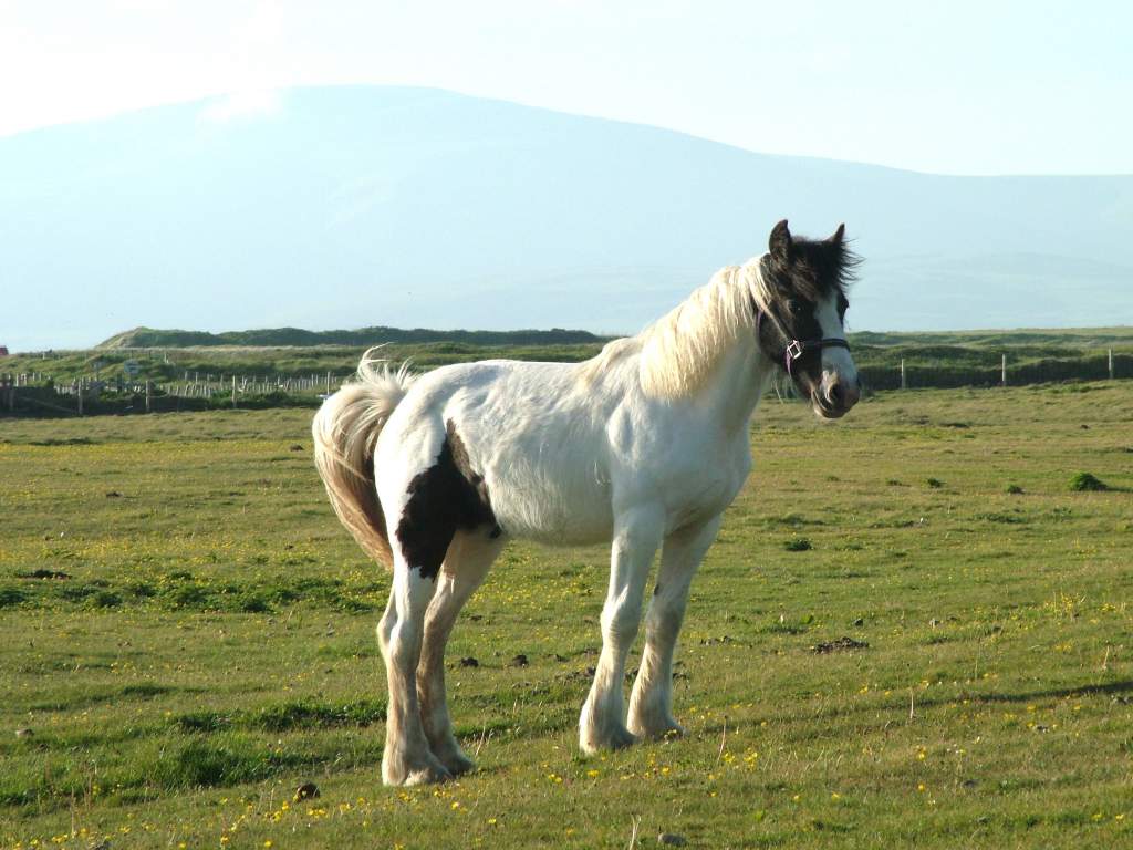 Click now to see this image full size.