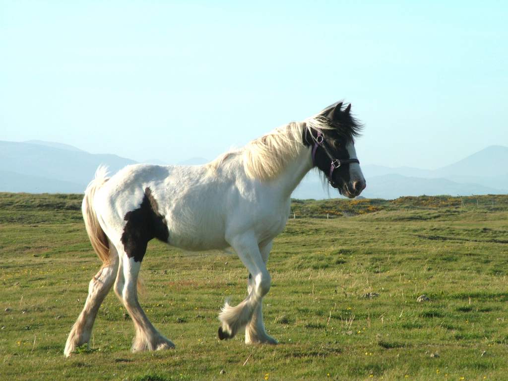 Click now to see this image full size.