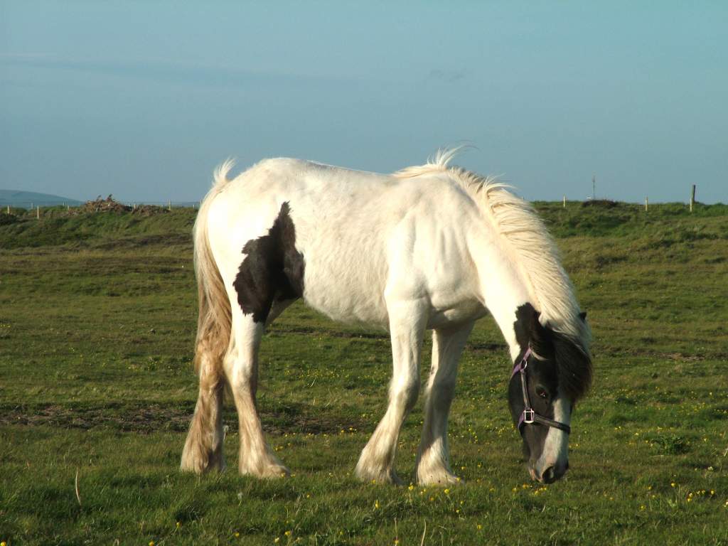 Click now to see this image full size.