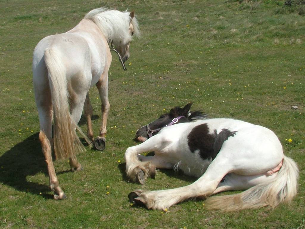 Click now to see this image full size.