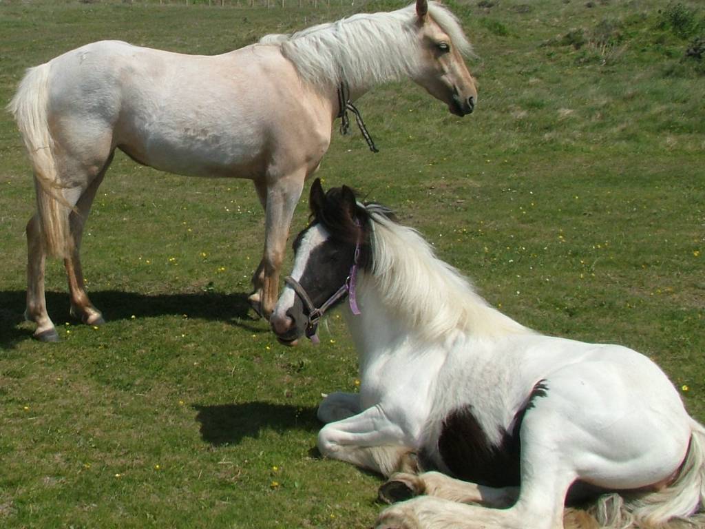 Click now to see this image full size.