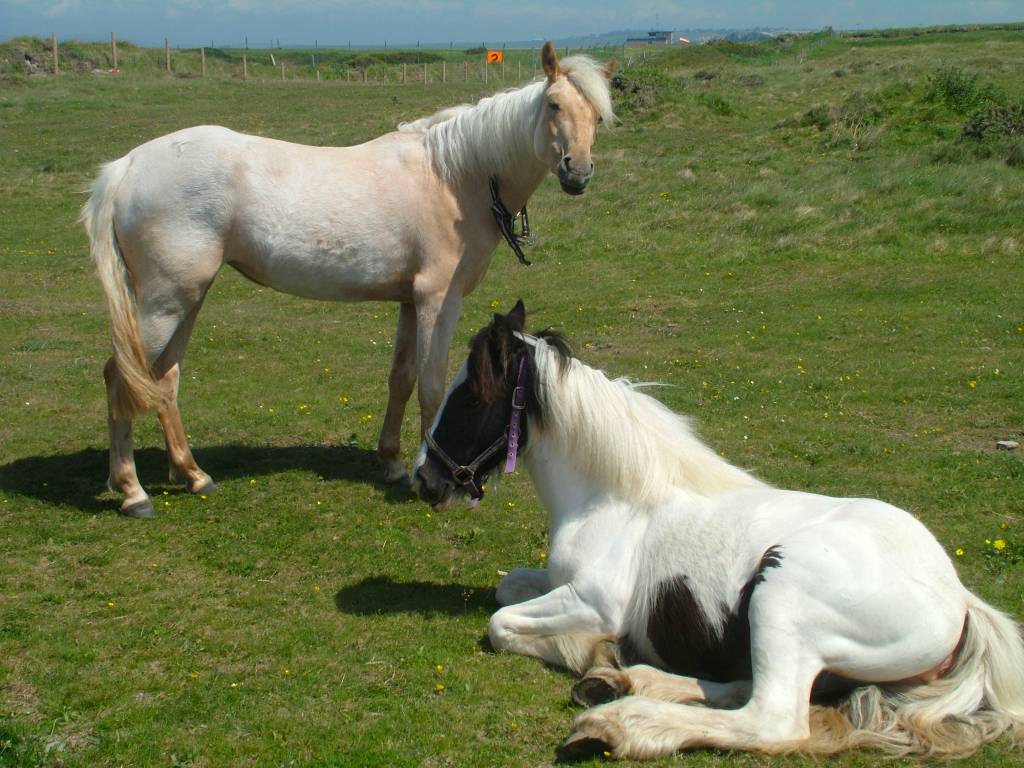 Click now to see this image full size.