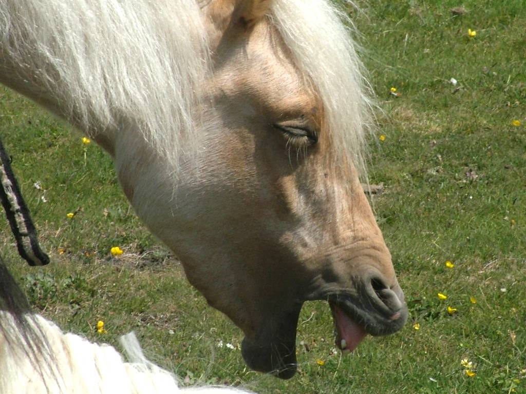 Click now to see this image full size.