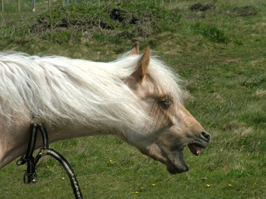 Click now to see this image full size.