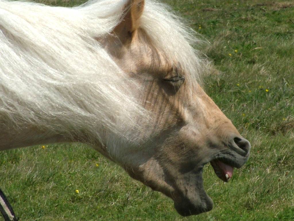 Click now to see this image full size.