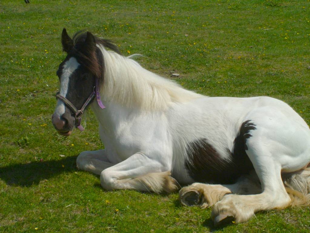 Click now to see this image full size.