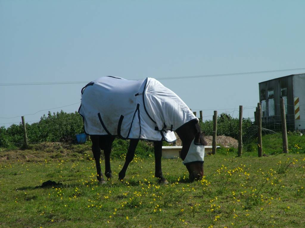 Click now to see this image full size.